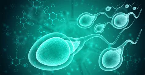 Sperm Testi Nedir? Sperm Testi Nasıl Yapılır?